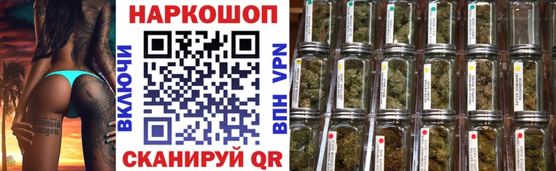 APVP Кирсанов