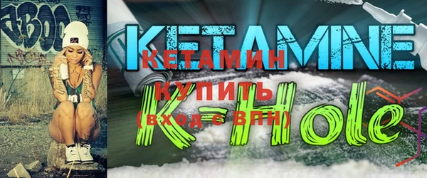 прущие грибы Каменногорск