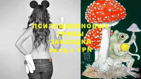 мескалин Касимов