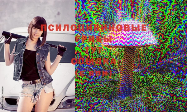Альфа ПВП Саяногорск